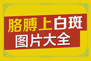 嘴唇上有白色斑是什么原因图片