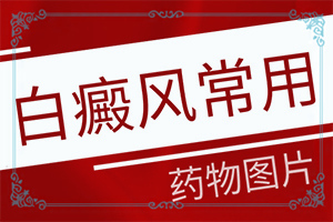 头皮白颠疯病初期是什么情况图片