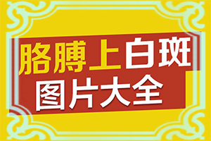 肚皮上有个白点怎么回事