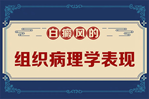 手上起小白点什么原因图片大全