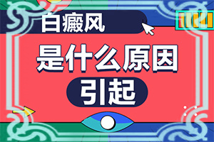 小孩身上白点点是什么原因图片