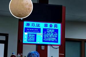 白殿风怎样防治