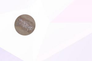贞芪扶正颗粒一盒几袋