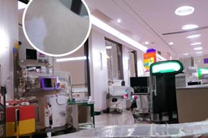 白点癫风缺什么营养