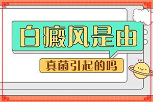 东莞的医院哪家可以看白癜风
