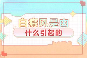 东莞白癜风治果好的医院是哪个