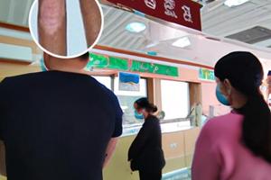 白颠病是什么引起的